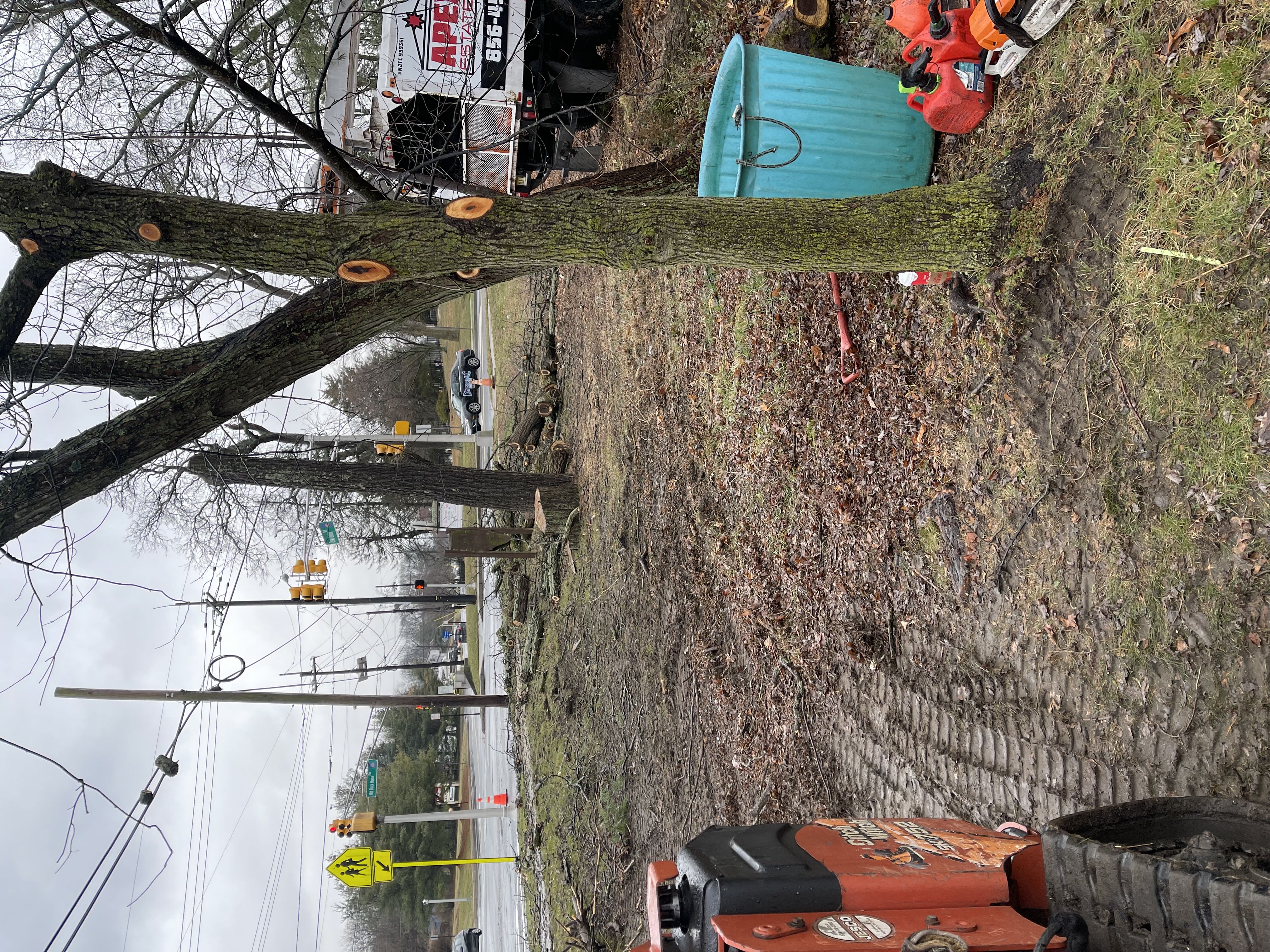 Land Clearing Company and Tree Pruning services